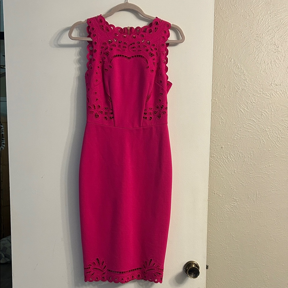 Ted Baker Elegant Pink Sleeveless Dress